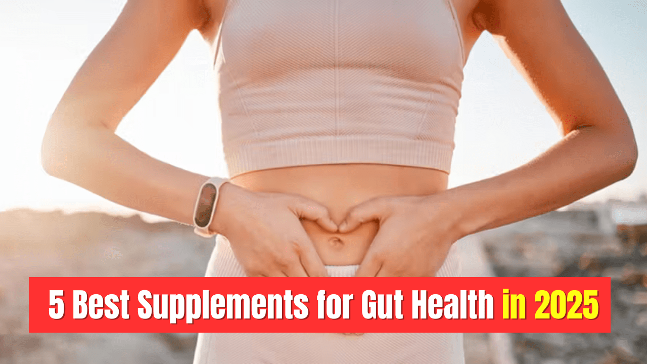 Read more about the article 5 Best Supplements for Gut Health in 2025