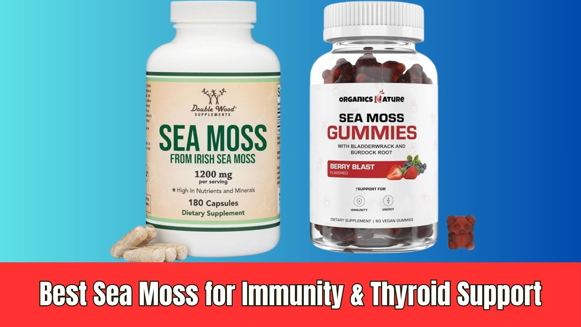 Read more about the article Best Sea Moss for Immunity & Thyroid Support