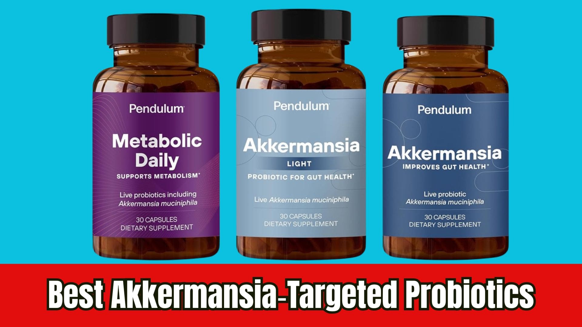 Read more about the article Best Akkermansia‑Targeted Probiotics