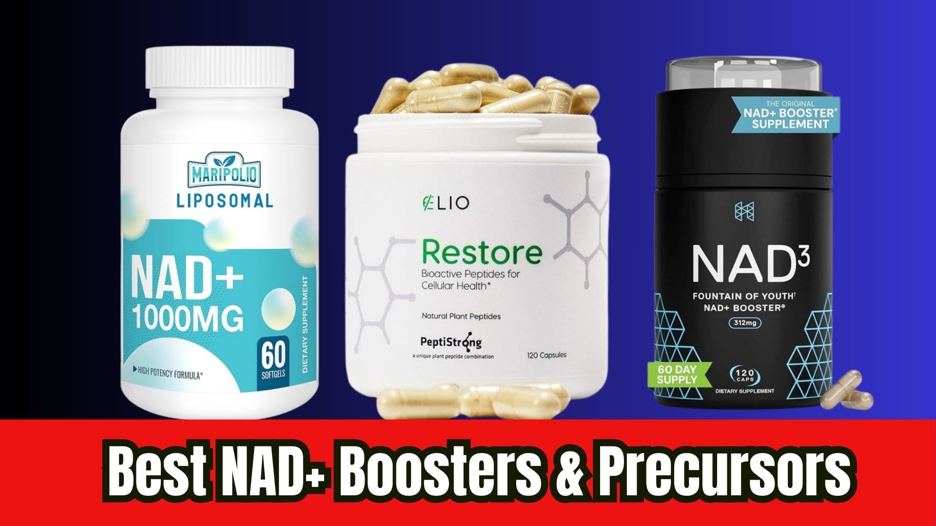 Read more about the article Best NAD+ Boosters & Precursors